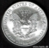 Picture of U.S.A. 1 Dollar 2005 Silver Eagle KM273 UNC