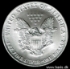 Picture of U.S.A. 1 Dollar 2007 Silver Eagle KM273 UNC