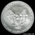 Picture of U.S.A. 1 Dollar 2008 Silver Eagle KM273 UNC