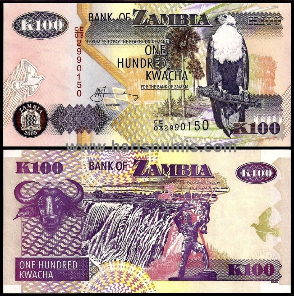 Picture of ZAMBIA 100 Kwacha 2005 P38e UNC