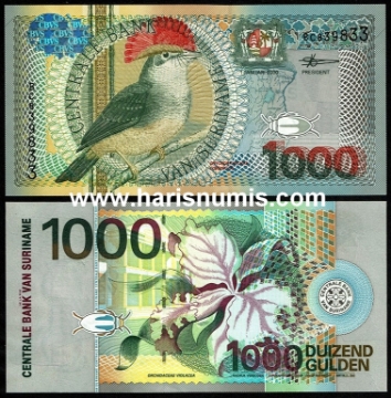 Picture of SURINAME 1000 Gulden 2000 P 151 UNC